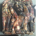 Whole round gigas squid from Peru